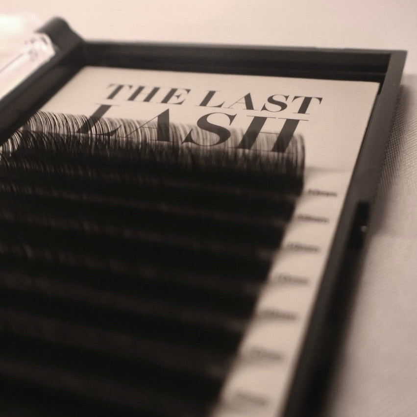 Lash Trays