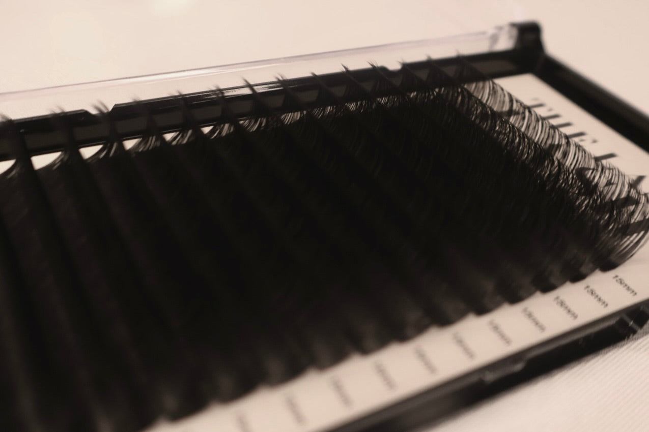 Russian Lash Trays - D Curl