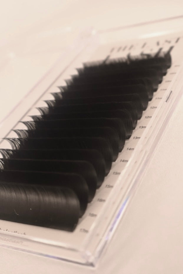 Russian Lash Trays - D Curl