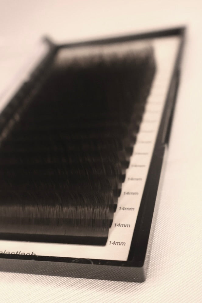 Russian Lash Trays - CC Curl