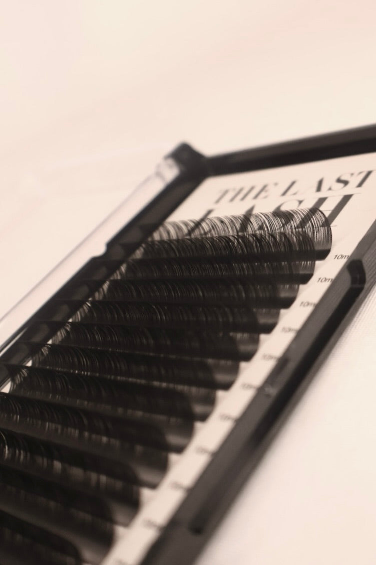 Russian Lash Trays - D Curl