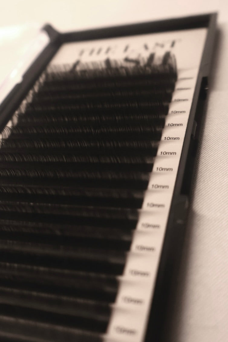 Russian Lash Trays - D Curl